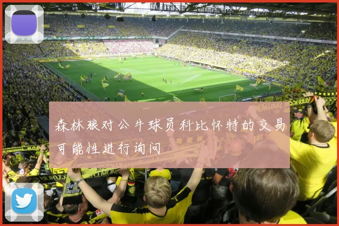 森林狼对公牛球员科比怀特的交易可能性进行询问