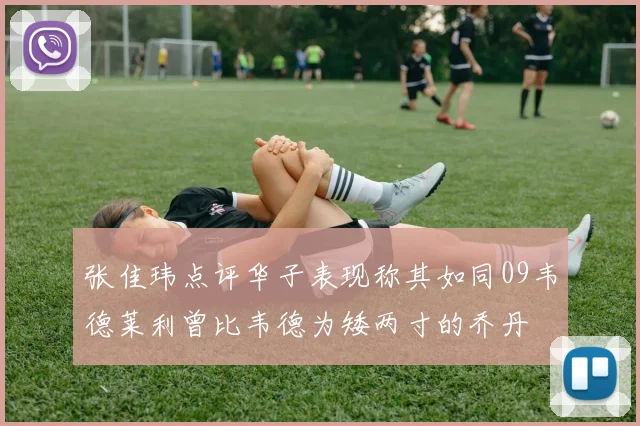 张佳玮点评华子表现称其如同09韦德莱利曾比韦德为矮两寸的乔丹