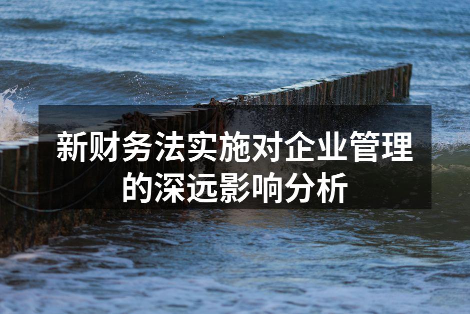 新财务法实施对企业管理的深远影响分析